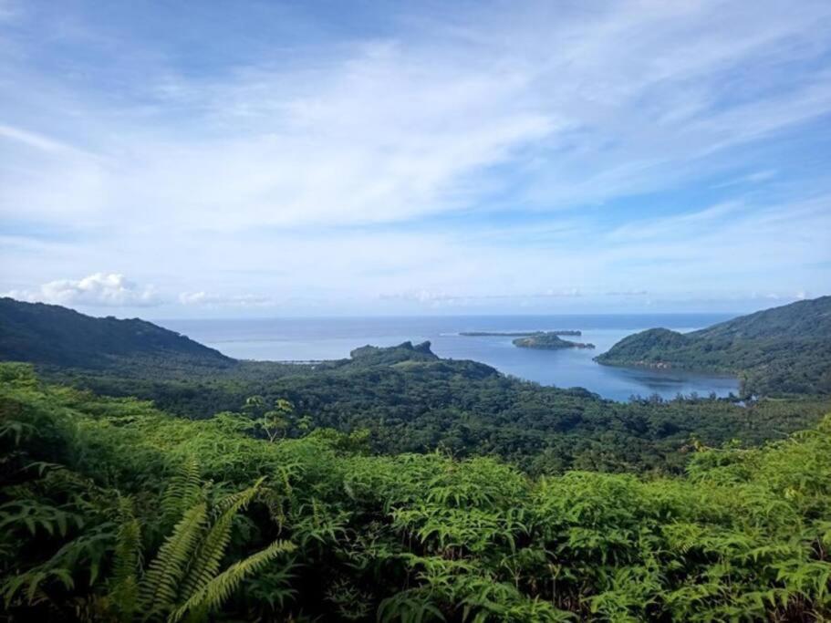 Studio Bord De Mer Fare Tahitea Pension Taputapuapea Ngoại thất bức ảnh