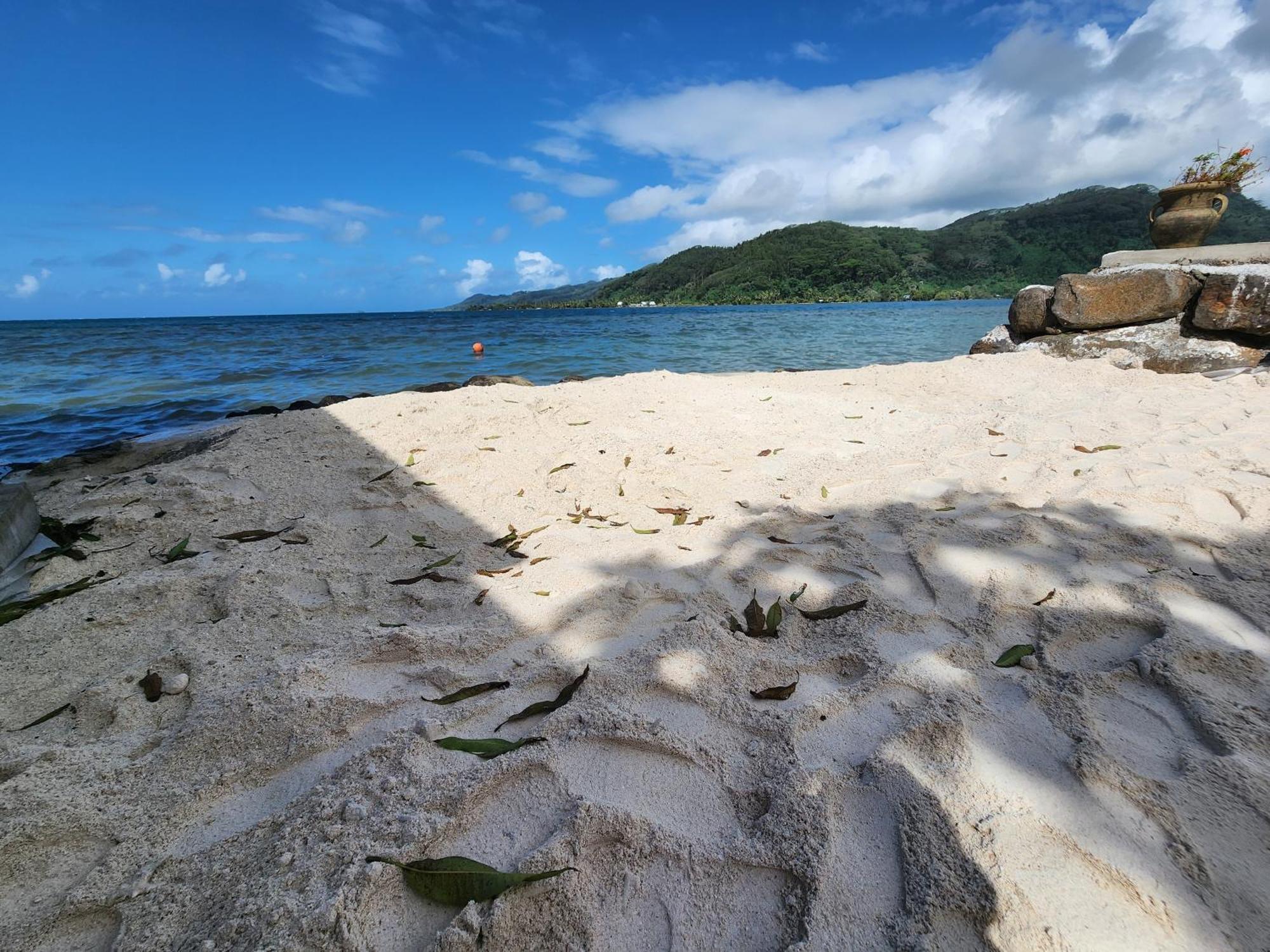 Studio Bord De Mer Fare Tahitea Pension Taputapuapea Ngoại thất bức ảnh